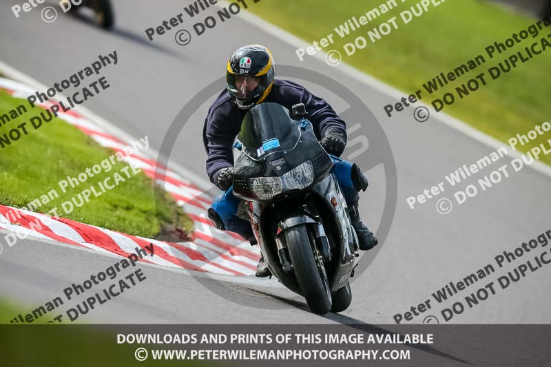Oulton Park 21st March 2020;PJ Motorsport Photography 2020;anglesey;brands hatch;cadwell park;croft;donington park;enduro digital images;event digital images;eventdigitalimages;mallory;no limits;oulton park;peter wileman photography;racing digital images;silverstone;snetterton;trackday digital images;trackday photos;vmcc banbury run;welsh 2 day enduro